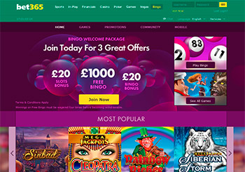 Bet365 Bingo